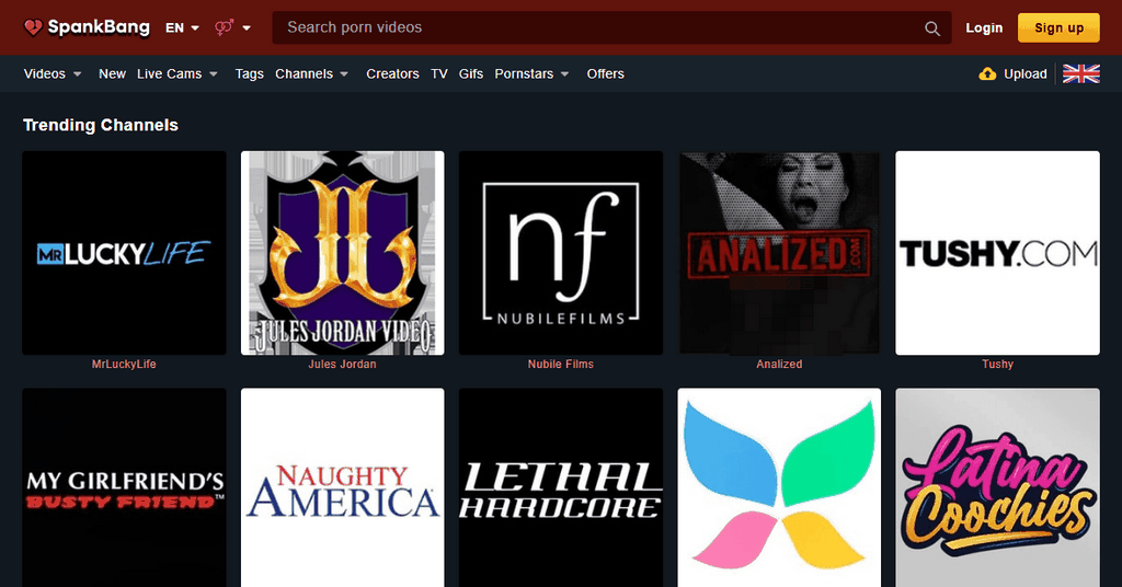 Does She Spray or Fake It? The Juicy Inside information on Pornography's Wettest Enigma